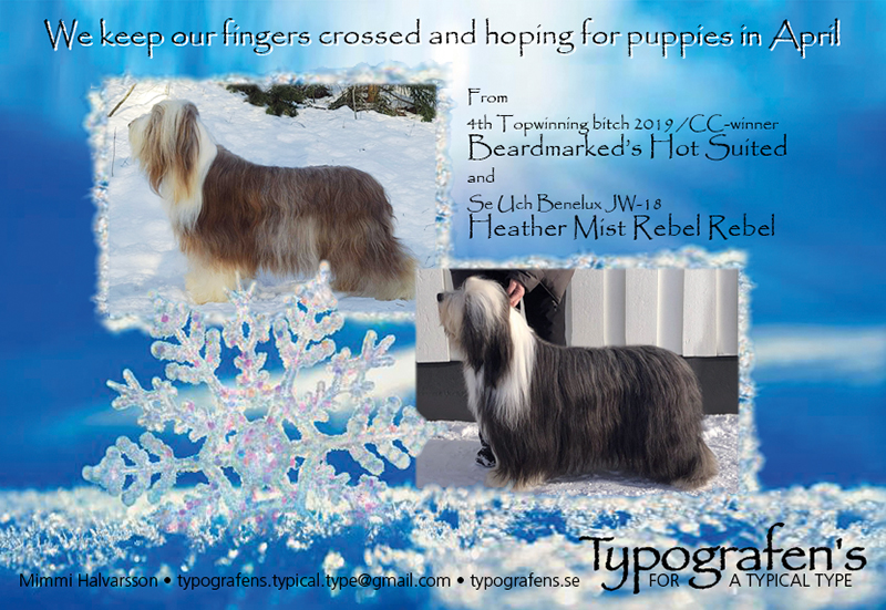 Typografens_valpannons_2021